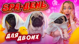 УСТРОИЛИ СПА-ДЕНЬ ДЛЯ МОПСИКОВ ❤️ Купаем, Стрижем Ногти ✨