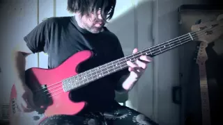 Nirvana - Love Buzz (Bass Cover)