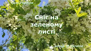 Сніг на зеленому листі. Пісні України. Songs of Ukraine. Vita_St