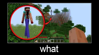 Minecraft wait what meme part 347 (Scary Giant Herobrine)