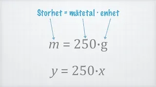 Storhet, enhet och mätetal