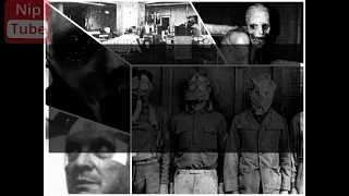 The Russian Sleep Experiment Kept Five People Awake For Fifteen days, With video, Gossip