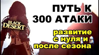 Путь к 300 атаки. Как развиваться после сезонного сервера в BDO - Black Desert