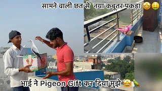 दूसरे देश वाला कबूतर फ्री मे मिला 🤩🤑 !! Pigeon Gift From Another Country 🇬🇧