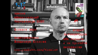 Владимир Козлов о книге Андрея Аствацатурова "Не кормите и не трогайте пеликанов"