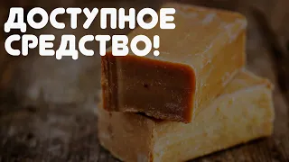 ВСЕГДА ПОКУПАЮ МНОГО ХОЗЯЙСТВЕННОГО МЫЛА ! Рассказываю, как и для чего использую его дома!