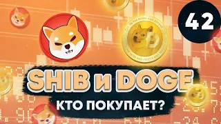 КРИПТОВАЛЮТЫ DOGE И SHIB, ПОЧЕМУ ИХ НЕ КУПЛЮ? ОБЗОР DOGECOIN И SHIBA INU