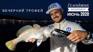 Вечерний трофей! Темный горбыль на ультралайт! ROCKFISHING в начале лета. Чёрное море.