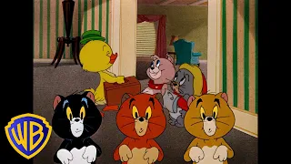 Tom y Jerry en Latino | ¡Los animalitos más lindos! 🐣🐱🐶 |  @WBKidsLatino