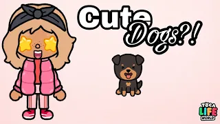 13 Places To Find Adorable Dogs In Toca World!🐶||*super helpful*😌||Chloe Plays Toca🌿