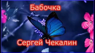 #Сергей Чекалин "Бабочка" /Sergey Chekalin "Butterfly"