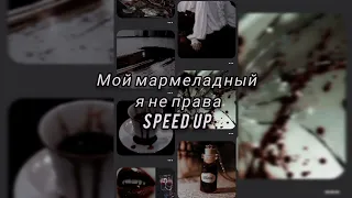 INSTASAMKA - мой мармеладный я не права SPEED UP