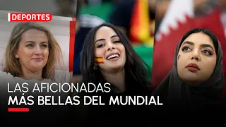 Ellas son las aficionadas más bellas de Qatar 2022