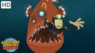 Angleiro, tubarões, cavalos -marinhos + mais [episódios completos] Aventuras com os Kratts