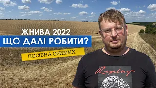 Олександр Чумак, ТОВ "Мічурін+": Ціни на зерно, посівна озимих, продавати чи зберігати? Жнива 2022