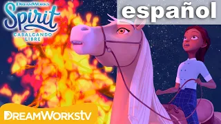 La fogata se estropeó | SPIRIT CABALGANDO LIBRE