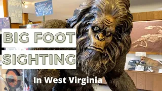 Big Foot Sightings in West Virginia