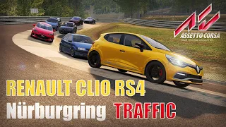 Renault Clio RS 4. Nürburgring Tourist with congested circuit. #4