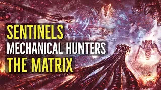 Sentinels (MECHANICAL HUNTERS) The Matrix Explained