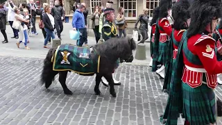 2-SCOTS Parade Glasgow, Edinburgh & Linlithgow [4K/UHD]