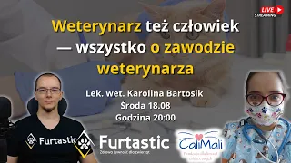 Weterynarz też człowiek - wszystko o zawodzie weterynarza