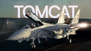 Why was the F-14 Scrapped? | Grumman F-14 Tomcat