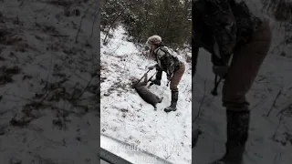 Bobcat Release from a Cable Restraint