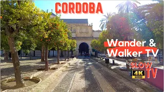 🌙 Cordoba - Spain  - Amazing Walk in Old Town - 4K