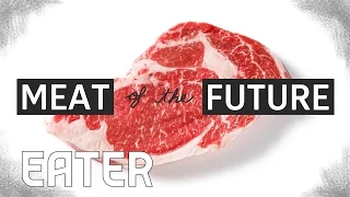 The Meat of the Future: How Lab-Grown Meat Is Made