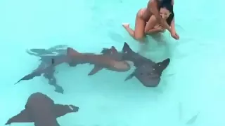 Real shark prank