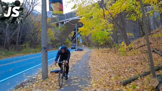 Downtown's Most Scenic Road in the Fall | Toronto Ride (Nov 2022)