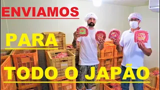 FABRICA DE LINGUIÇA DE BRASILEIRO NO JAPÃO