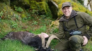 Goat hunt with Irishsafarishunting