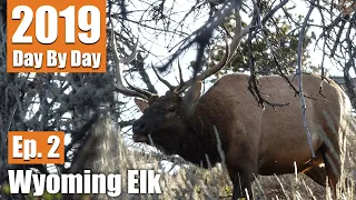 Full Draw On A 6 Point Bull | 2019 Wyoming Archery Elk (Ep. 2)