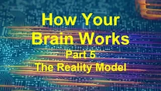 How your Brain Works Part 5: The Reality Model