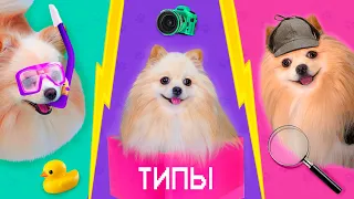 ТИПЫ СОБАК | ТИПЫ ЩЕНКОВ