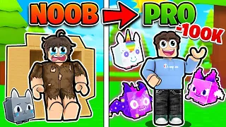 Spending $100,000 To Go From NOOB To Pro INSTANTLY In Pet Simulator X!