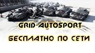 GRID Autosport бесплатно по сети