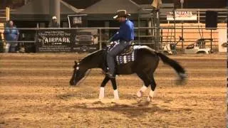 Andrea Fappani "Preparing Your Horse to Show" Clinic 2014