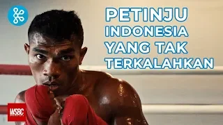 Petinju Indonesia Yang Belum Pernah Kalah - Cerita Kitabisa