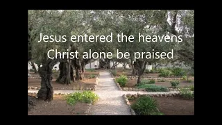 Jesus Went to the Garden by City on a Hill Lyrics