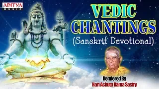 Karthik Masam Special - Rudram Namkam Chamakam - Vedic Chantings | Devotional Songs |#vedicchanting
