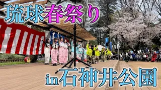 【イベント出演】琉球春祭りに出演しました🌸