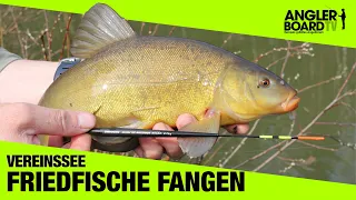 Angeln am Vereinssee | Friedfische einfach fangen | RUTE & ROLLE Classic | Anglerboard TV