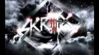 Top 5 skrillex songs