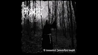 RADHOST - V temnotách Jesenických hvozdů  (In the Darkness of Jeseniky Woods) - ALBUM TEASER