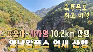 재약산 표충사 코스 산행 | 사자평 억새 절정 | 폭포가 더 멋져요 | 21년10월27일