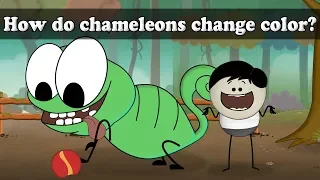 How do chameleons change color? | #aumsum #kids #science #education #children