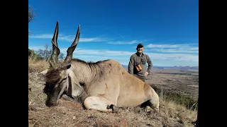 Day 06 - Tonys Eland at 700 yards