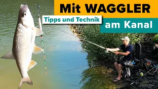 Weißfische angeln mit der Waggler-Pose am Kanal